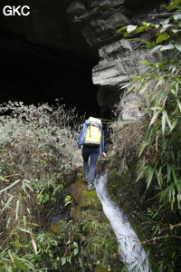 Entrée de la résurgence perchée de Dadongpiandong - 大洞偏洞 - (Suiyang 绥阳, Zunyi Shi 遵义市, Guizhou 贵州省, Chine)