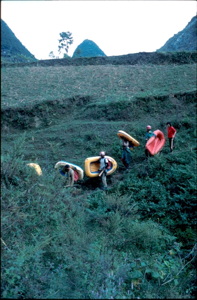 Canots dans les champs sur fond de cônes., juste devant l'entrée de la perte Gebong-Gebihe Ziyun Guizhou