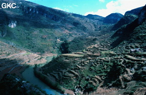 La superbe vallée aveugle de Wangjiachong Sise sur le flanc nord du synclinal, elle se termine à la perte de Luochu qui forme le dernier maillon du réseau de Santang avant la résurgence. Santang/Zhijin/Guizhou 