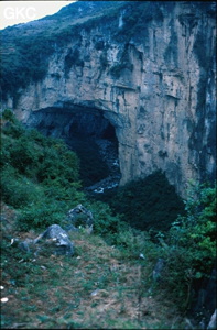 Le gigantesque pont naturel qui sépare les gouffres de Dacaokou (1er plan) et Xiaocaokou (au fond)- réseau de Daxiaocaokou (2,9 km, -235) (Zhijin/Bijie/Guizhou).