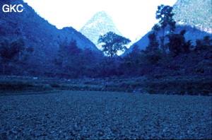 Brigitte au centre (en tout petit) dans un paysage mi apprivoisé (champ retourné) mi sauvage ( piton escarpé de l'arrière plan) village de Gebong Ziyun Guizhou.