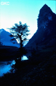Ombre chinoise : la rivière Shuitanghe et les cônes entourant le village de Gebong Ziyun Guizhou.