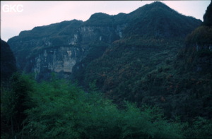 Canyon sauvage de la rivière Songjiahe qui se termine à la perte de Dadong.  Wufeng/Hubei 