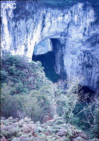Vue sur la partie haute du puits de 370 m de la Gebihe et ses deux porches. Ziyun Guizhou.