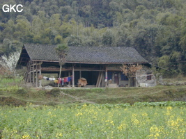 Yinhedong