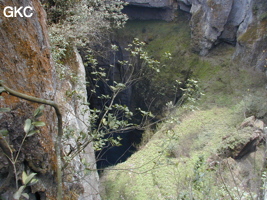 Yanzidongshujing