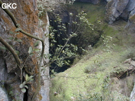 Yanzidongshujing