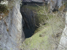 Yanzidongshujing
