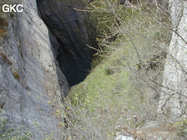 Yanzidongshujing