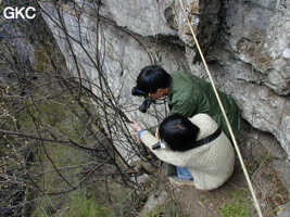 Yanzidongshujing