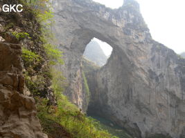 Dans la paroi est de l'énorme effondrement (un Tiankeng de pente dégénéré) de 200 m de diamètre, un gros porche perché forme un pont-naturel. Grotte de Dajing dong Qun 大井洞. (Dajing 大井, Qiannan 黔南, Luodian罗甸, Guizhou 贵州省, Chine)