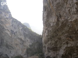 Détail de la paroi est de l'énorme effondrement (un Tiankeng de pente dégénéré) de 200 m de diamètre. Grotte de Dajing dong Qun 大井洞. (Dajing 大井, Qiannan 黔南, Luodian罗甸, Guizhou 贵州省, Chine)