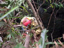 Jean Bottazzi équipe le puits d'entrée de la grotte de Heidong  黑洞  (Qiannan 黔南, Pingtang 平塘, Guizhou 贵州省, Chine).