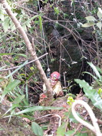 Jean Bottazzi équipe le puits d'entrée de la grotte de Heidong  黑洞  (Qiannan 黔南, Pingtang 平塘, Guizhou 贵州省, Chine).