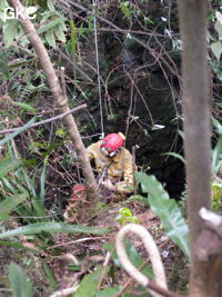 Jean Bottazzi équipe le puits d'entrée de la grotte de Heidong  黑洞  (Qiannan 黔南, Pingtang 平塘, Guizhou 贵州省, Chine).