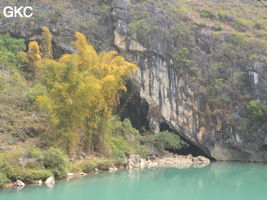 Le lac d'entrée de Dajing dong Qun 大井洞. Cette grosse résurgence, située sur le côté sud de l'anticlinal (EW) de Chachang, se développe dans les calcaires bioclastiques sparitiques grossiers gris en bancs épais du T2xm. Le long de la rivière souterraine se trouve une série d'effondrements. Le système hydrologique  aérien et hypogé a un gradient moyen de 0,87 %. Avec une percée de 15 km, sa dernière partie, souterraine, a un gradient moyen  de 2,6 %. La rivière principale s'étire sur  85 km et le bassin versant s'étend sur 950 km2. Le débit d'étiage de cette résurgence est de 1,843 m3/s, son débit moyen annuel de 12 m3/s . (Dajing 大井, Qiannan 黔南, Luodian罗甸, Guizhou 贵州省, Chine)