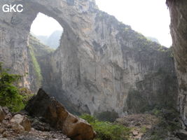 Dans la paroi est de l'énorme effondrement (un Tiankeng de pente dégénéré) de 200 m de diamètre, un gros porche perché forme un pont-naturel. Grotte de Dajing dong Qun 大井洞. (Dajing 大井, Qiannan 黔南, Luodian罗甸, Guizhou 贵州省, Chine)