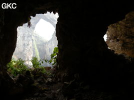 Dans la paroi est de l'énorme effondrement (un Tiankeng de pente dégénéré) de 200 m de diamètre, un gros porche perché forme un pont-naturel (vu depuis une des grottes abri de la paroi ouest) Grotte de Dajing dong Qun 大井洞. (Dajing 大井, Qiannan 黔南, Luodian罗甸, Guizhou 贵州省, Chine)