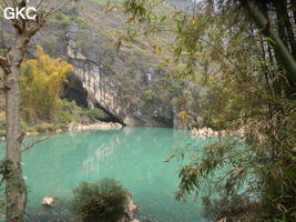 Le lac d'entrée de Dajing dong Qun 大井洞. Cette grosse résurgence, située sur le côté sud de l'anticlinal (EW) de Chachang, se développe dans les calcaires bioclastiques sparitiques grossiers gris en bancs épais du T2xm. Le long de la rivière souterraine se trouve une série d'effondrements. Le système hydrologique  aérien et hypogé a un gradient moyen de 0,87 %. Avec une percée de 15 km, sa dernière partie, souterraine, a un gradient moyen  de 2,6 %. La rivière principale s'étire sur  85 km et le bassin versant s'étend sur 950 km2. Le débit d'étiage de cette résurgence est de 1,843 m3/s, son débit moyen annuel de 12 m3/s . (Dajing 大井, Qiannan 黔南, Luodian罗甸, Guizhou 贵州省, Chine)