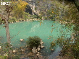 Le lac d'entrée de Dajing dong Qun 大井洞. Cette grosse résurgence, située sur le côté sud de l'anticlinal (EW) de Chachang, se développe dans les calcaires bioclastiques sparitiques grossiers gris en bancs épais du T2xm. Le long de la rivière souterraine se trouve une série d'effondrements. Le système hydrologique  aérien et hypogé a un gradient moyen de 0,87 %. Avec une percée de 15 km, sa dernière partie, souterraine, a un gradient moyen  de 2,6 %. La rivière principale s'étire sur  85 km et le bassin versant s'étend sur 950 km2. Le débit d'étiage de cette résurgence est de 1,843 m3/s, son débit moyen annuel de 12 m3/s . (Dajing 大井, Qiannan 黔南, Luodian罗甸, Guizhou 贵州省, Chine)