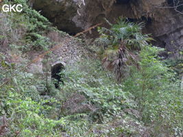 L'entrée inférieure de la grotte de Shuidong 水洞 et sa puissante muraille de fortification (Qiannan 黔南, Pingtang 平塘, Guizhou 贵州省, Chine).