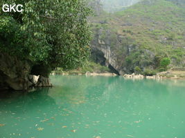 Le lac d'entrée de Dajing dong Qun 大井洞. Cette grosse résurgence, située sur le côté sud de l'anticlinal (EW) de Chachang, se développe dans les calcaires bioclastiques sparitiques grossiers gris en bancs épais du T2xm. Le long de la rivière souterraine se trouve une série d'effondrements. Le système hydrologique  aérien et hypogé a un gradient moyen de 0,87 %. Avec une percée de 15 km, sa dernière partie, souterraine, a un gradient moyen  de 2,6 %. La rivière principale s'étire sur  85 km et le bassin versant s'étend sur 950 km2. Le débit d'étiage de cette résurgence est de 1,843 m3/s, son débit moyen annuel de 12 m3/s . (Dajing 大井, Qiannan 黔南, Luodian罗甸, Guizhou 贵州省, Chine)