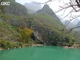 Le lac d'entrée de Dajing dong Qun 大井洞. Cette grosse résurgence, située sur le côté sud de l'anticlinal (EW) de Chachang, se développe dans les calcaires bioclastiques sparitiques grossiers gris en bancs épais du T2xm. Le long de la rivière souterraine se trouve une série d'effondrements. Le système hydrologique  aérien et hypogé a un gradient moyen de 0,87 %. Avec une percée de 15 km, sa dernière partie, souterraine, a un gradient moyen  de 2,6 %. La rivière principale s'étire sur  85 km et le bassin versant s'étend sur 950 km2. Le débit d'étiage de cette résurgence est de 1,843 m3/s, son débit moyen annuel de 12 m3/s . (Dajing 大井, Qiannan 黔南, Luodian罗甸, Guizhou 贵州省, Chine)