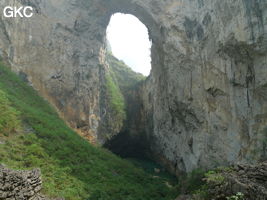 Dans la paroi est de l'énorme effondrement (un Tiankeng de pente dégénéré) de 200 m de diamètre, un gros porche perché forme un pont-naturel. Il domine plan d'eau regard sur la rivière souterraine. Grotte de Dajing dong Qun 大井洞. (Dajing 大井, Qiannan 黔南, Luodian罗甸, Guizhou 贵州省, Chine)