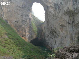 Dans la paroi est de l'énorme effondrement (un Tiankeng de pente dégénéré) de 200 m de diamètre, un gros porche perché forme un pont-naturel. Il domine plan d'eau regard sur la rivière souterraine. Grotte de Dajing dong Qun 大井洞. (Dajing 大井, Qiannan 黔南, Luodian罗甸, Guizhou 贵州省, Chine)