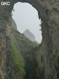 Dans la paroi est de l'énorme effondrement (un Tiankeng de pente dégénéré) de 200 m de diamètre, un gros porche perché forme un pont-naturel. Grotte de Dajing dong Qun 大井洞. (Dajing 大井, Qiannan 黔南, Luodian罗甸, Guizhou 贵州省, Chine)