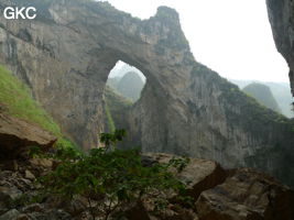 Dans la paroi est de l'énorme effondrement (un Tiankeng de pente dégénéré) de 200 m de diamètre, un gros porche perché forme un pont-naturel. Grotte de Dajing dong Qun 大井洞. (Dajing 大井, Qiannan 黔南, Luodian罗甸, Guizhou 贵州省, Chine)