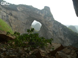 Dans la paroi est de l'énorme effondrement (un Tiankeng de pente dégénéré) de 200 m de diamètre, un gros porche perché forme un pont-naturel. Grotte de Dajing dong Qun 大井洞. (Dajing 大井, Qiannan 黔南, Luodian罗甸, Guizhou 贵州省, Chine)