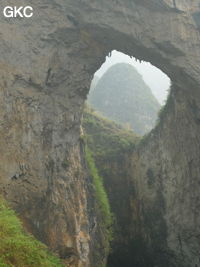 Dans la paroi est de l'énorme effondrement (un Tiankeng de pente dégénéré) de 200 m de diamètre, un gros porche perché forme un pont-naturel. Grotte de Dajing dong Qun 大井洞. (Dajing 大井, Qiannan 黔南, Luodian罗甸, Guizhou 贵州省, Chine)