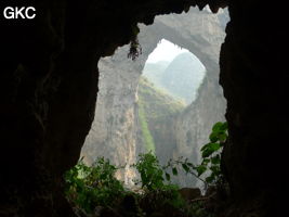 Dans la paroi est de l'énorme effondrement (un Tiankeng de pente dégénéré) de 200 m de diamètre, un gros porche perché forme un pont-naturel (vu depuis une des grottes abri de la paroi ouest) Grotte de Dajing dong Qun 大井洞. (Dajing 大井, Qiannan 黔南, Luodian罗甸, Guizhou 贵州省, Chine)