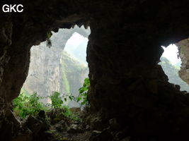 Dans la paroi est de l'énorme effondrement (un Tiankeng de pente dégénéré) de 200 m de diamètre, un gros porche perché forme un pont-naturel (vu depuis une des grottes abri de la paroi ouest) Grotte de Dajing dong Qun 大井洞. (Dajing 大井, Qiannan 黔南, Luodian罗甸, Guizhou 贵州省, Chine)