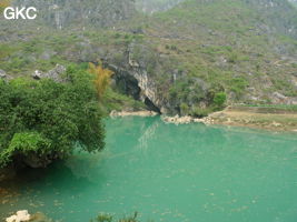 Le lac d'entrée de Dajing dong Qun 大井洞. Cette grosse résurgence, située sur le côté sud de l'anticlinal (EW) de Chachang, se développe dans les calcaires bioclastiques sparitiques grossiers gris en bancs épais du T2xm. Le long de la rivière souterraine se trouve une série d'effondrements. Le système hydrologique  aérien et hypogé a un gradient moyen de 0,87 %. Avec une percée de 15 km, sa dernière partie, souterraine, a un gradient moyen  de 2,6 %. La rivière principale s'étire sur  85 km et le bassin versant s'étend sur 950 km2. Le débit d'étiage de cette résurgence est de 1,843 m3/s, son débit moyen annuel de 12 m3/s . (Dajing 大井, Qiannan 黔南, Luodian罗甸, Guizhou 贵州省, Chine)