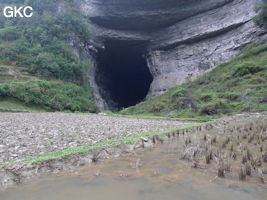 Le grand porche d'entrée de la grotte-perte de Xiadong 下洞 s'ouvre à l'extrémité d'une vallée aveugle cultivée (la gorge de Muzhutanggou) - réseau de Shuanghedong 双河洞 - (Wenquan, Suiyang 绥阳, Zunyi 遵义市, Guizhou 贵州省, Chine 中国).