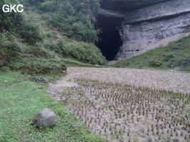 Le grand porche d'entrée de la grotte-perte de Xiadong 下洞 s'ouvre à l'extrémité d'une vallée aveugle cultivée (la gorge de Muzhutanggou) - réseau de Shuanghedong 双河洞 - (Wenquan, Suiyang 绥阳, Zunyi 遵义市, Guizhou 贵州省, Chine 中国).