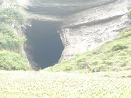 Le grand porche d'entrée de la grotte-perte de Xiadong 下洞 - réseau de Shuanghedong 双河洞 - (Wenquan, Suiyang 绥阳, Zunyi 遵义市, Guizhou 贵州省, Chine 中国) 