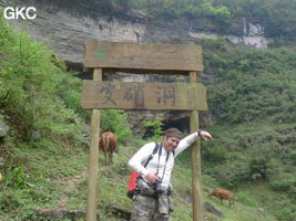 Grotte de Pixiaodong 皮硝洞 - réseau de Shuanghedong 双河洞 - (Wenquan, Suiyang 绥阳, Zunyi 遵义市, Guizhou 贵州省, Chine 中国).