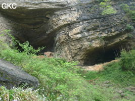 Dans le réseau de Shuanghedongqun 双河洞. Le porche d'entrée (à gauche) de la grotte de Pixiao Dong 皮硝洞. (Wenquan, Suiyang 绥阳, Zunyi, 遵义市 Guizhou 贵州省)