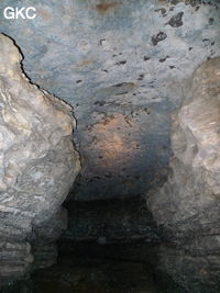 Grotte de Pixiaodong 皮硝洞 - réseau de Shuanghedong 双河洞 - (Wenquan, Suiyang 绥阳, Zunyi 遵义市, Guizhou 贵州省, Chine 中国)