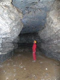 Grotte de Pixiaodong 皮硝洞 - réseau de Shuanghedong 双河洞 - (Wenquan, Suiyang 绥阳, Zunyi 遵义市, Guizhou 贵州省, Chine 中国)