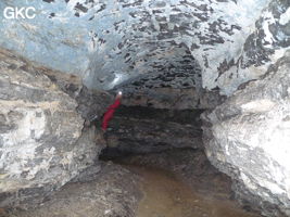 Grotte de Pixiaodong 皮硝洞 - réseau de Shuanghedong 双河洞 - (Wenquan, Suiyang 绥阳, Zunyi 遵义市, Guizhou 贵州省, Chine 中国)