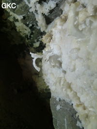 Crosse de gypse dans la Grotte de Pixiaodong 皮硝洞 - réseau de Shuanghedong 双河洞 - (Wenquan, Suiyang 绥阳, Zunyi 遵义市, Guizhou 贵州省, Chine 中国)