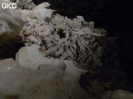 Grotte de Pixiaodong 皮硝洞 - réseau de Shuanghedong 双河洞 - (Wenquan, Suiyang 绥阳, Zunyi 遵义市, Guizhou 贵州省, Chine 中国)