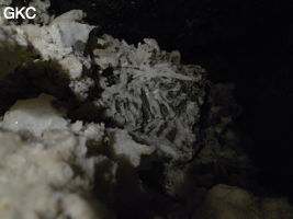 Grotte de Pixiaodong 皮硝洞 - réseau de Shuanghedong 双河洞 - (Wenquan, Suiyang 绥阳, Zunyi 遵义市, Guizhou 贵州省, Chine 中国)
