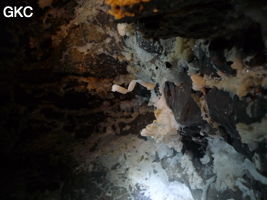 Crosse de gypse en spirale dans la Grotte de Pixiaodong 皮硝洞 - réseau de Shuanghedong 双河洞 - (Wenquan, Suiyang 绥阳, Zunyi 遵义市, Guizhou 贵州省, Chine 中国).