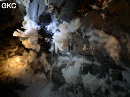 Grotte de Pixiaodong 皮硝洞 - réseau de Shuanghedong 双河洞 - (Wenquan, Suiyang 绥阳, Zunyi 遵义市, Guizhou 贵州省, Chine 中国)