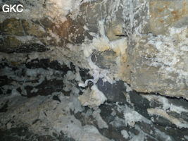 Crosse de gypse en spirale dans la Grotte de Pixiaodong 皮硝洞 - réseau de Shuanghedong 双河洞 - (Wenquan, Suiyang 绥阳, Zunyi 遵义市, Guizhou 贵州省, Chine 中国).